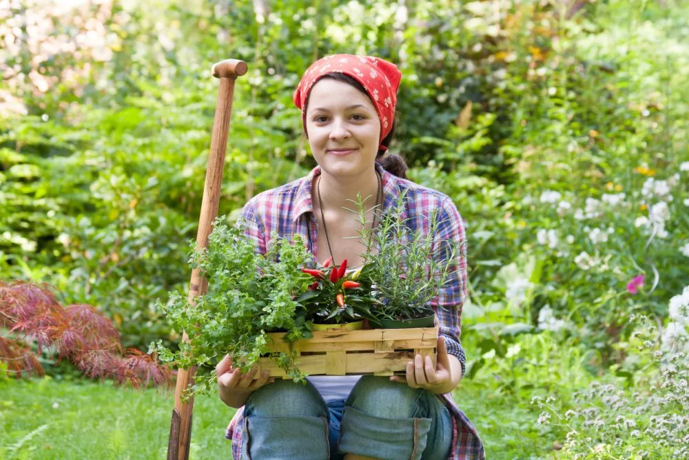 Urban Gardening, Kleingärten, Schrebergärten, Acker, Krautgärten, Sonnenäcker — © Bild: Symbolbild