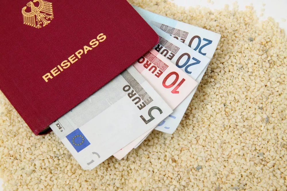 Reisedokumente, Pass