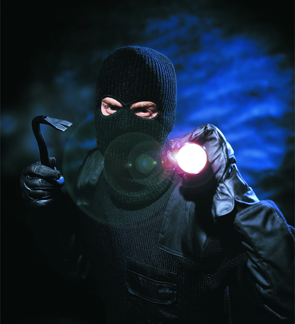 Einbrecher Einbruch Polizei