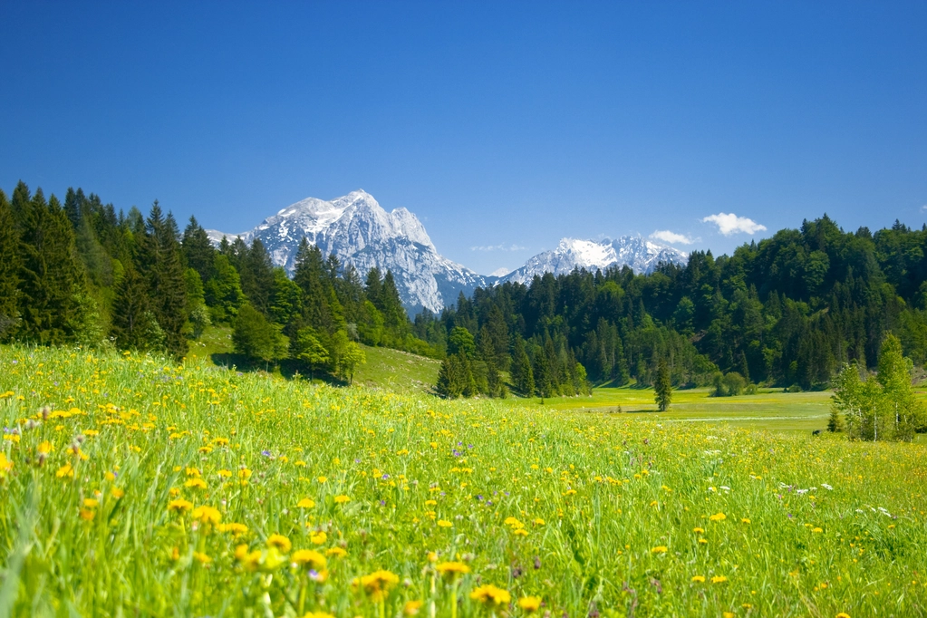 Frühling Berge Wiese