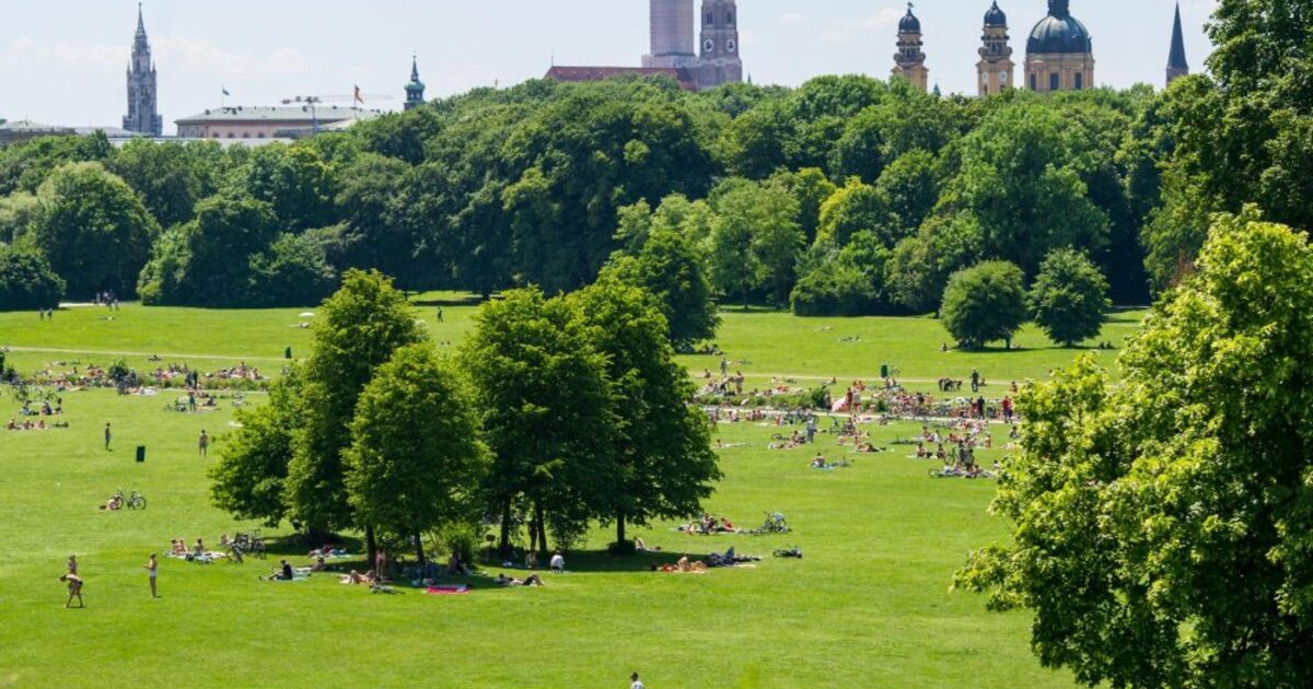 British parks. Энглишер Гартен Мюнхен. Мюнхен парк. Английский парк в Мюнхене. Englischen Garten в Мюнхене.