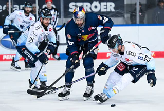 Wayne Simpson (l) und Mathew Bodie (r) verlassen den ERC Ingolstadt. — © Sven Hoppe/dpa