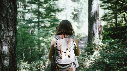 Wandern Spaziergang Touren Routen Sommer Wald Rucksack — © Jake Melara / Unsplash.com