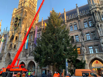 Christbaum Marienplatz