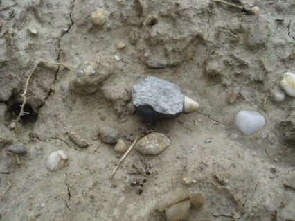 Meteoritenfall Steinmeteorit — © Ein 24 Gramm schweres und etwa 34 Millimeter langes Meteoritenfragment am Fundort in der Nähe von Stubenberg in Niederbayern 