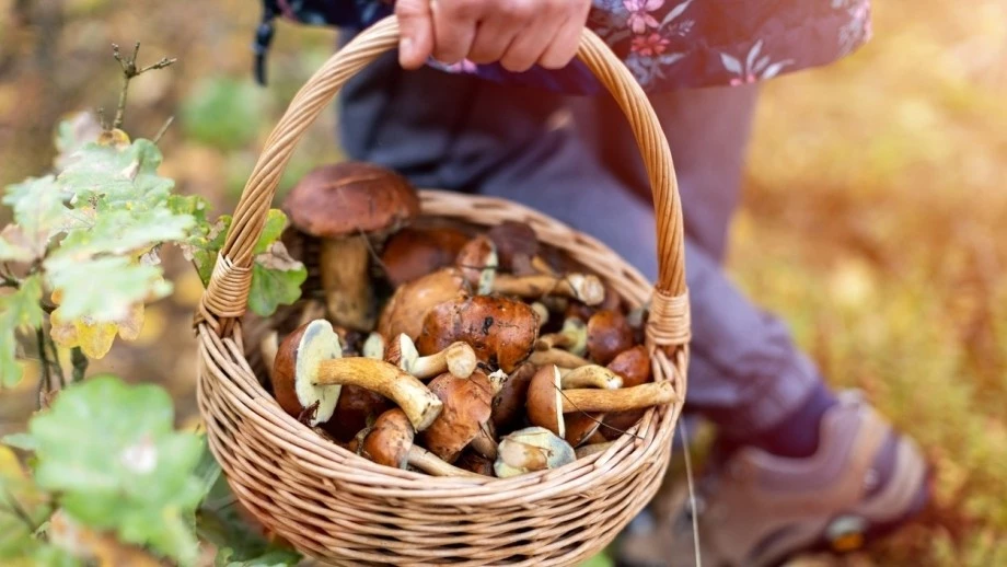  — © Bild: PIKSEL/ IStockPhoto