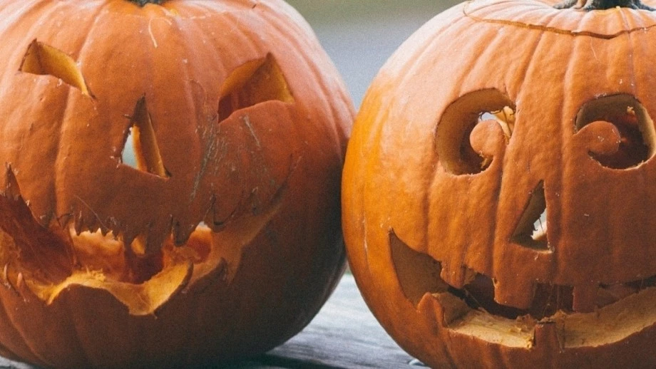 Halloween Kürbis — © Bild: Unsplash/Bekir Dönmez