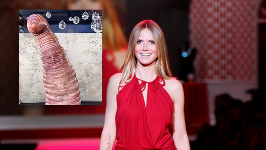  — © Von The Heart Truth - Heidi Klum in John Galliano at The Heart Truth&#039;s Red Dress Collection 2010Uploaded by gohe007, Gemeinfrei, https://commons.wikimedia.org/w/index.php?curid=14409674